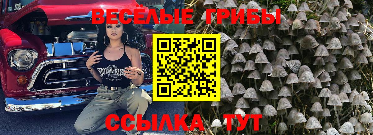 Галлюциногенные грибы ЛСД Елабуга