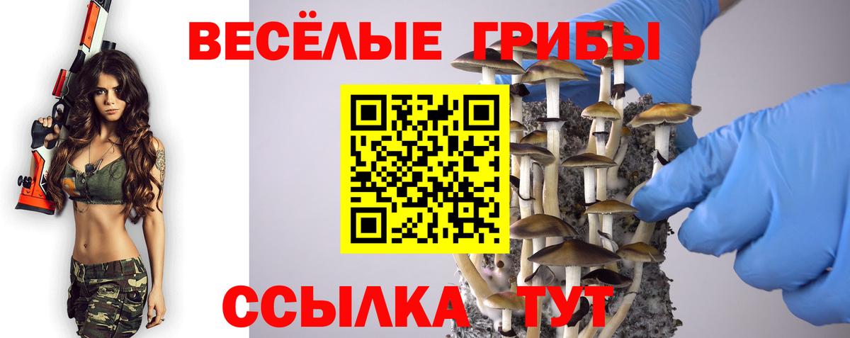 Псилоцибиновые грибы GOLDEN TEACHER  Галлюциногенные грибы MAGIC MUSHROOMS  Вход с VPN  Елабуга 